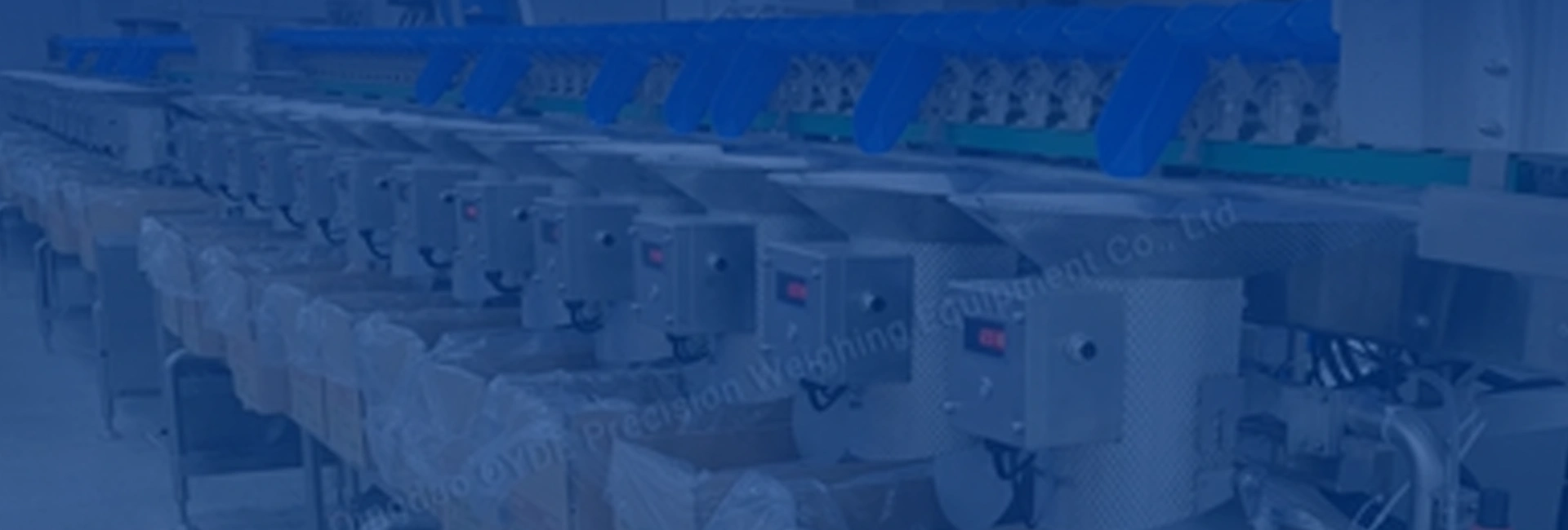 Provided Precision Weighing Line Solutions