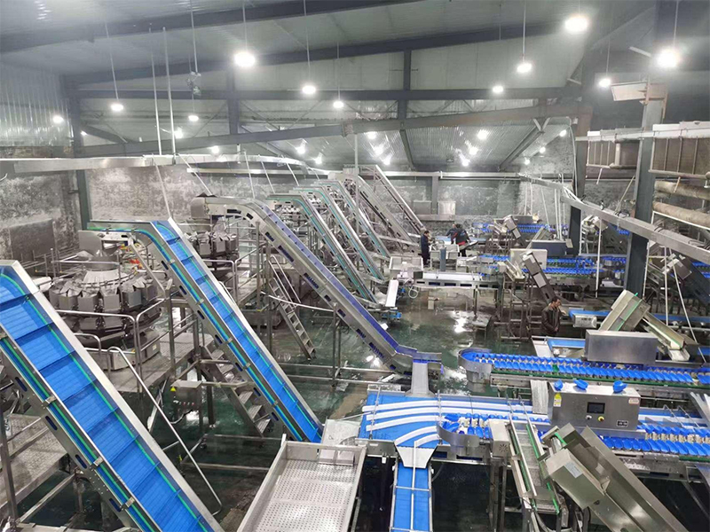 Computer multi -combination scales: the choice of innovation in the food processing industry