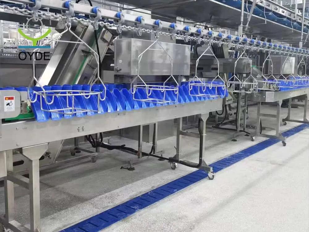 Fish Shrimp Seafood Sorter Sort Sorting Weighing