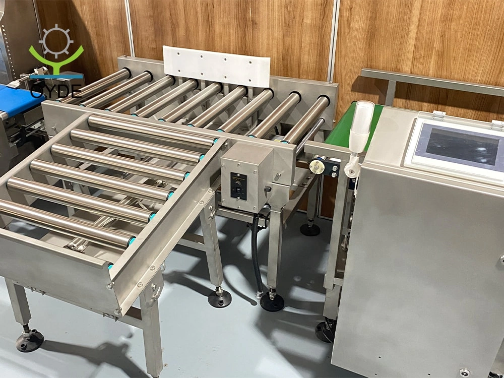 Belt Conveyor Weighing Scale Automatic Machine Weight Checker