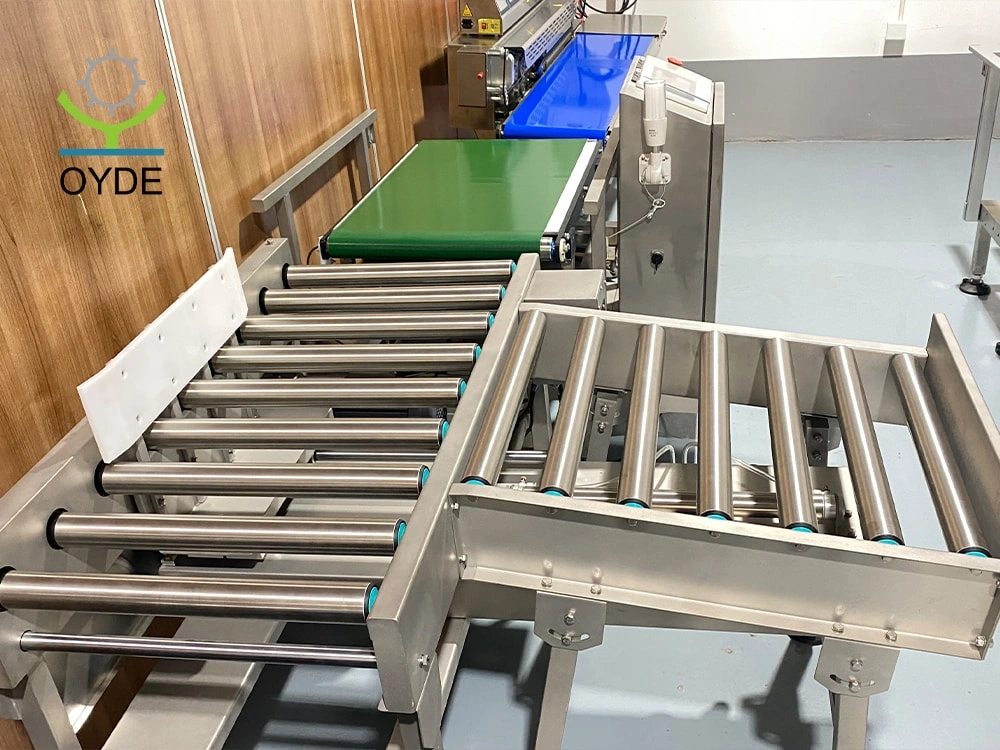 Custom Big Package Inline Weight Checker Weighing Check Equipment