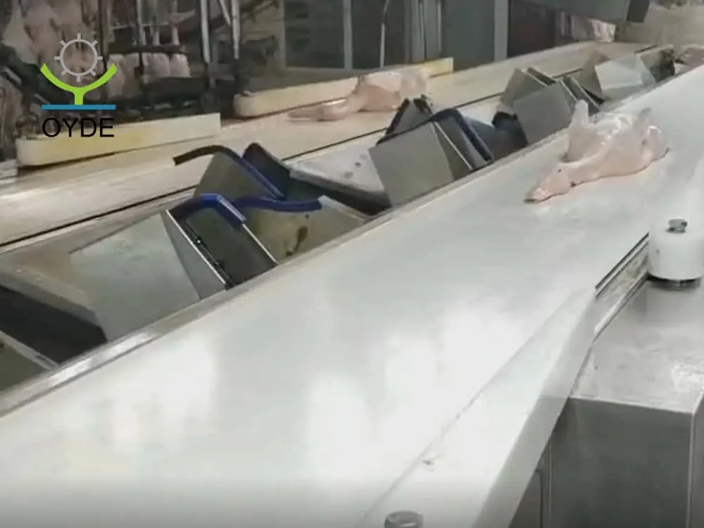 Resh Fruit Vegetable Strawberry Apple Belt-Driven Weight Sorting Machine