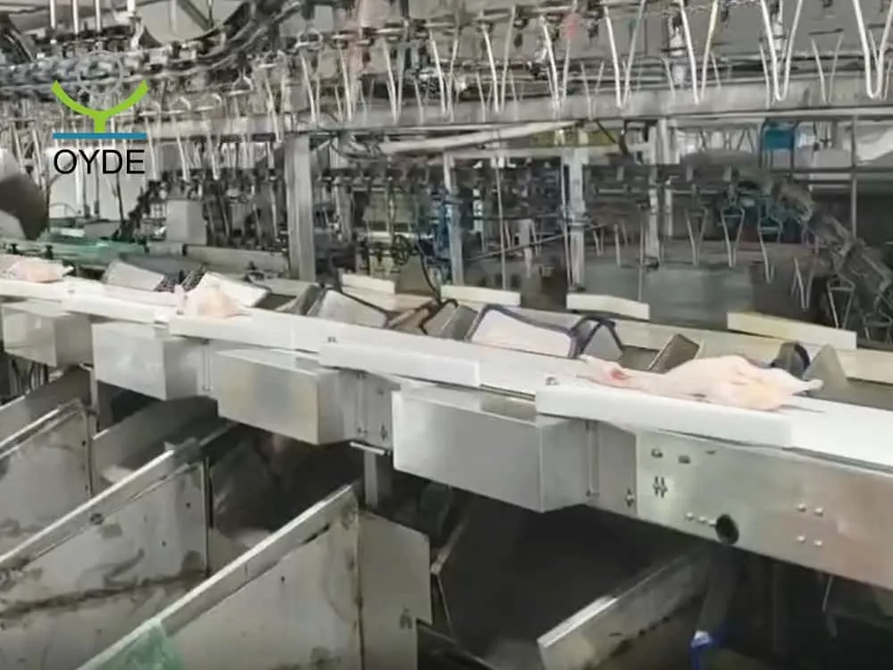 Conveyor Belt High Speed Weight Checker Sorter Weight Sorting Machine