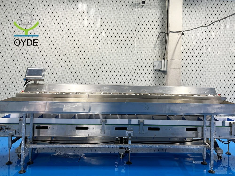 Automatic Combination Multihead Weigher for Potato Onion Garlic