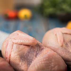 Frozen Food Solutions