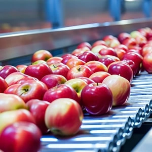 Fruit & Vegetable Solutions