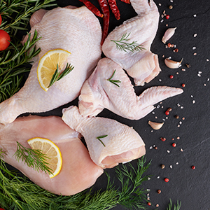 Frozen Food Solutions