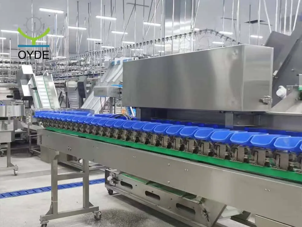 Meat Fish Fruit Box Weight Sorting