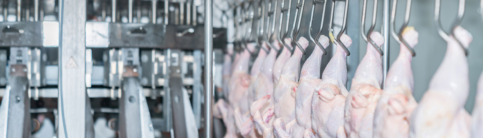 Poultry Industry Solution