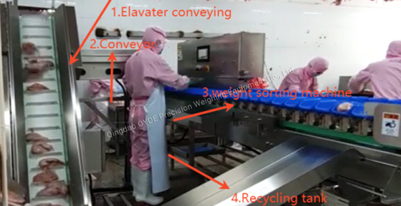 Pork Industry Solution