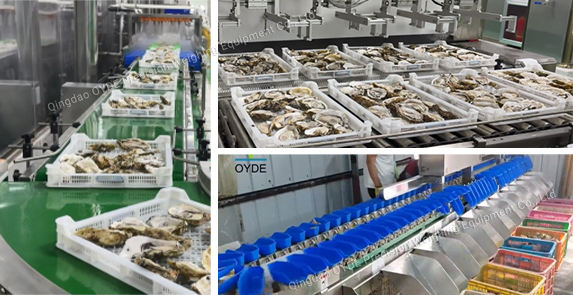 Aquatic products Industry Solution