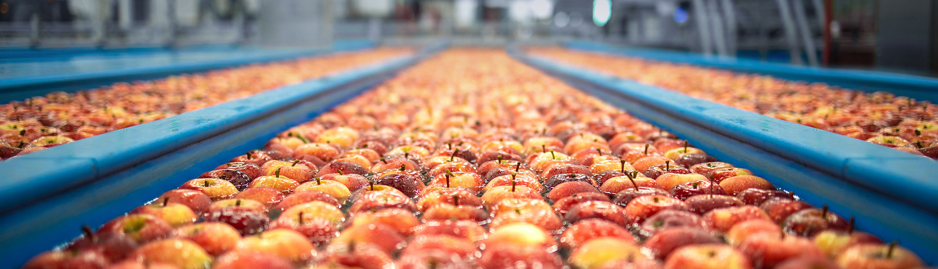 Fruits Industry Solution