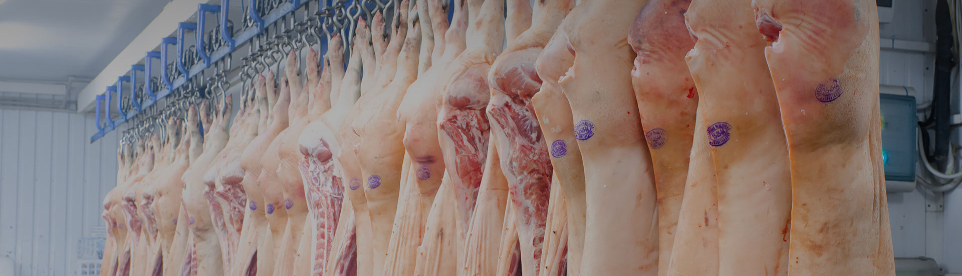 Pork Industry Solution