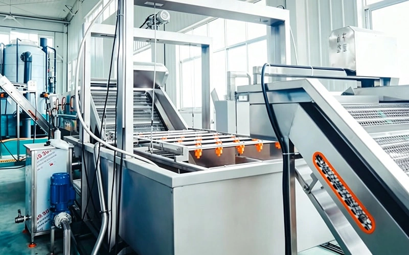 Oyster Automatic Cleaning & Weight Sorting Line | Complete Solution