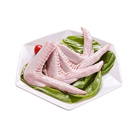 Two-Segmented Wings