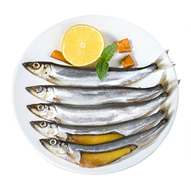 Capelin