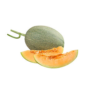 Cantaloupe