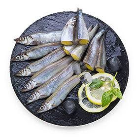 Willow Leaf Fish