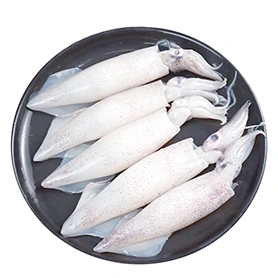 Penfish
