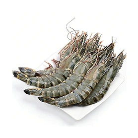 Fresh shrimp