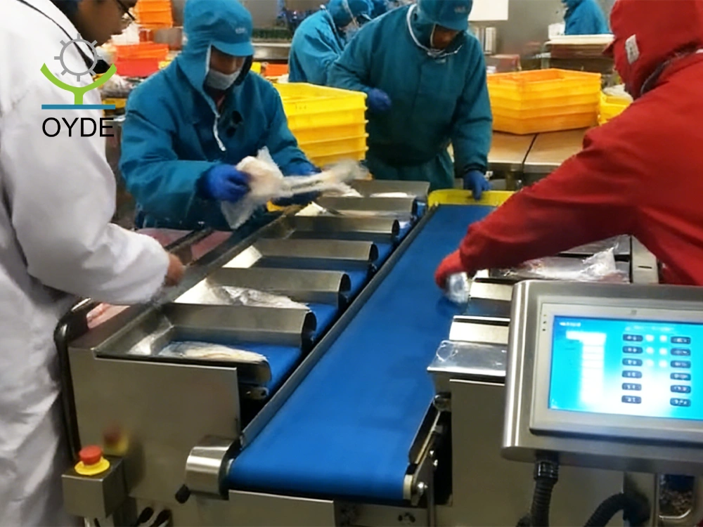 Frozen Squid Intelligent High-Speed Belt-Type Weight Distribution Scale