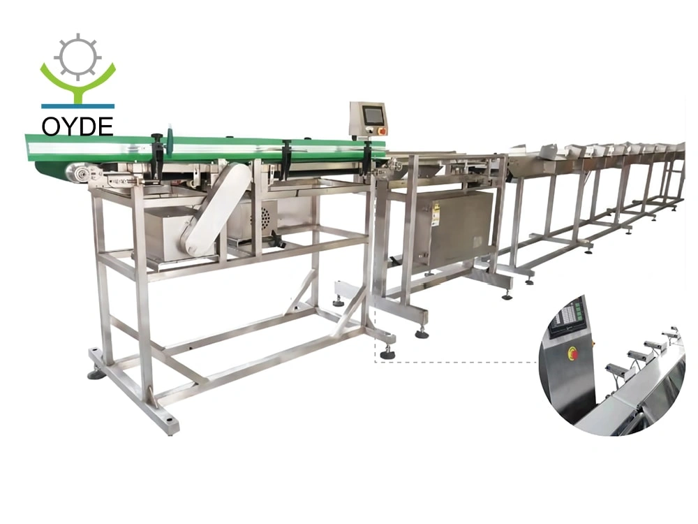 Belt-driven Weight Sorting Machine