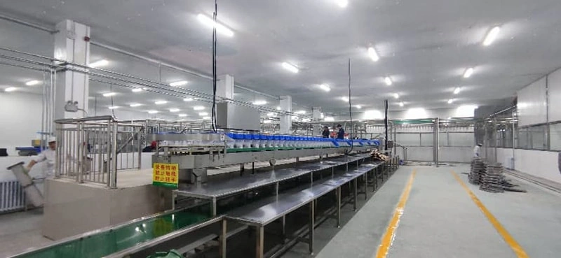 Weight Grading Solutions for Poultry Processing Plants