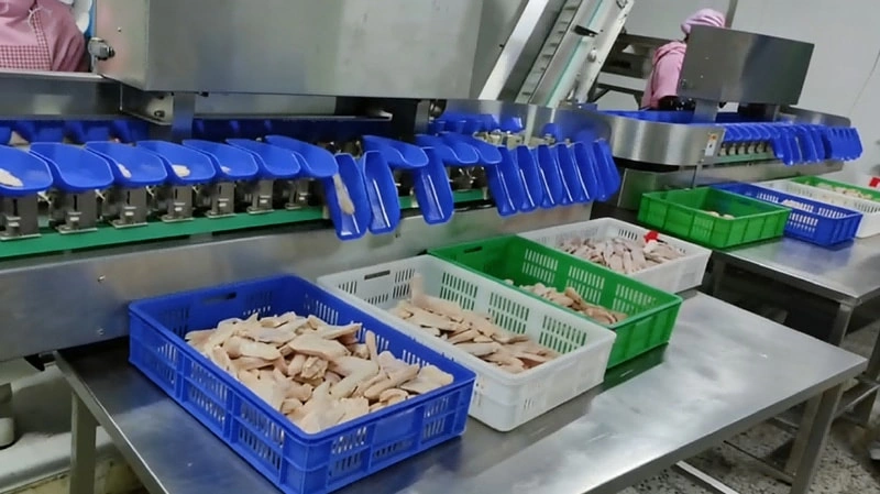 Weight Grading Solutions for Poultry Processing Plants