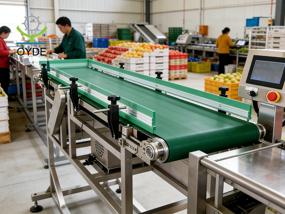Fruits Belt-driven Weight Sorting Machine