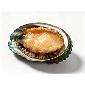 Abalone