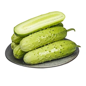 Cucumber