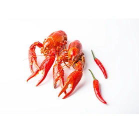 Lobster