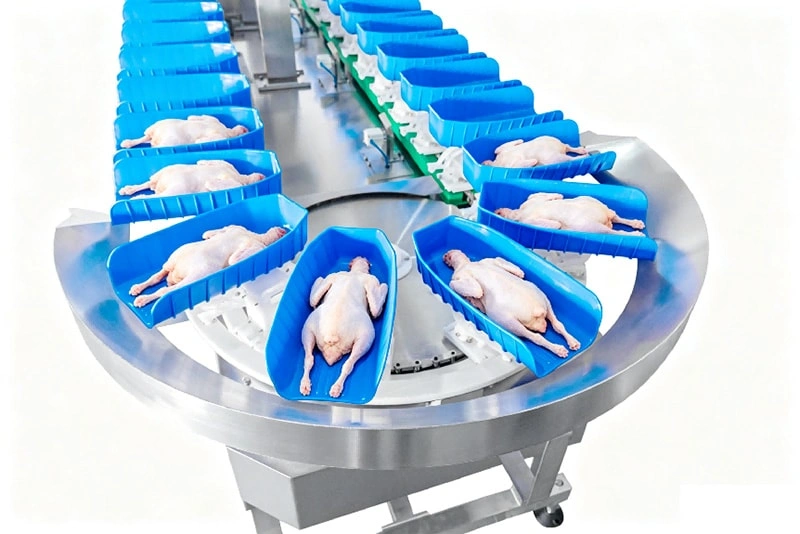 Poultry Weight Grading Machine | Whole Chicken Weight Sorter