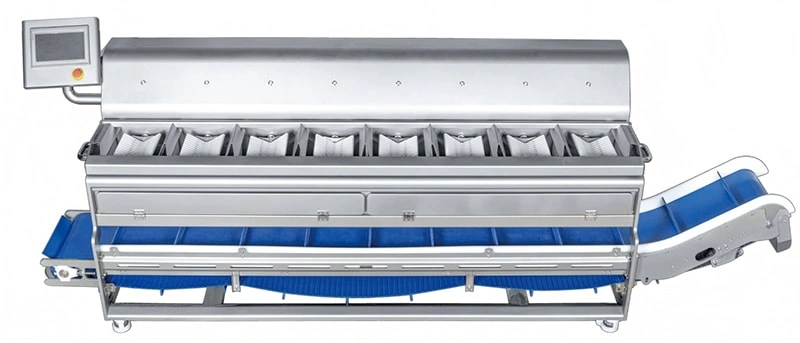 Flip Plate Combination Weigher for Durian | Accurate Fixed-Weight Batching Solution