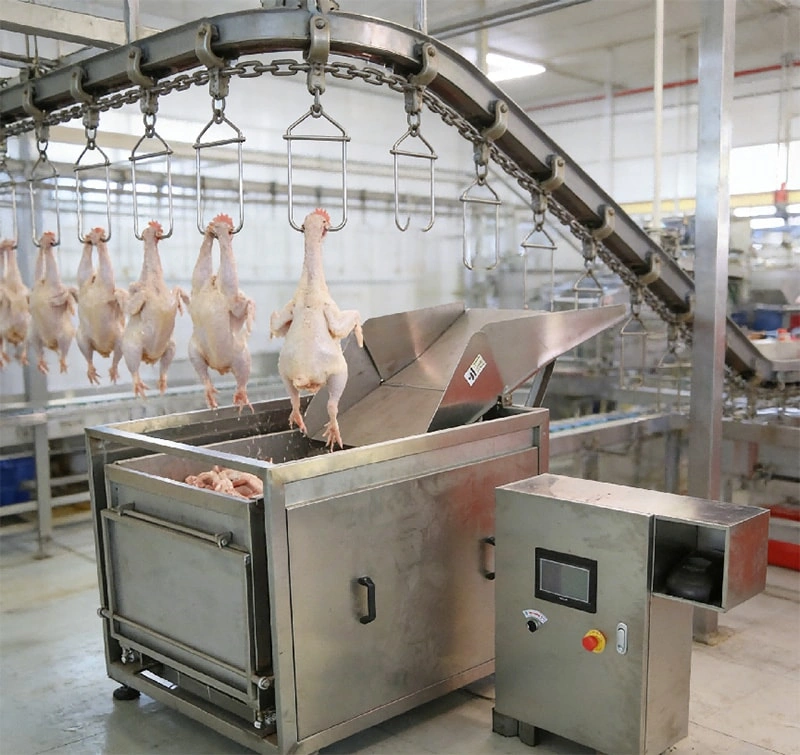 How Fully Automatic Weighing Scale Improves Poultry Processing Efficiency