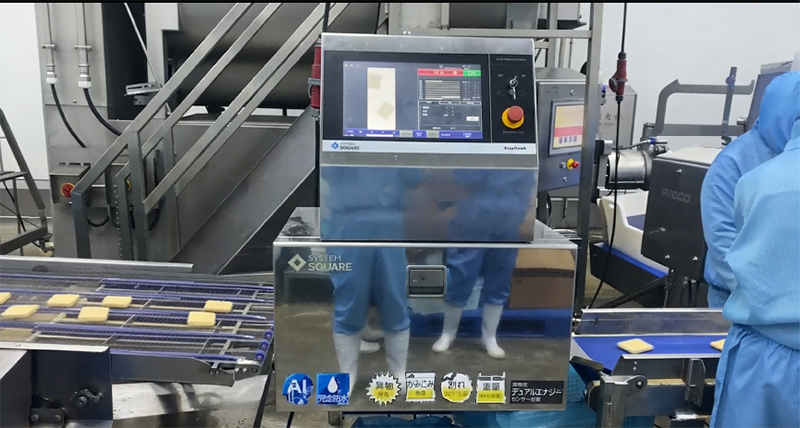 OYDE X-Ray Inspection Machine | Food & Industrial Foreign Body Contaminant Detector