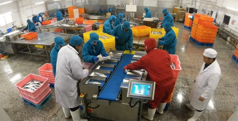 High Accuracy Automatic Belt Combination Weigher | Intelligent Weight Distribution Scale for Pre-packaged Food Production Line