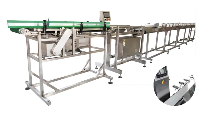 Belt-Driven Weight Sorting Machine | OYDE Series Automatic Weight Sorter