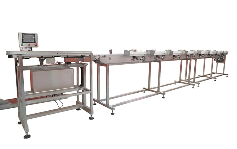 Belt-Driven Weight Sorting Machine | OYDE Series Automatic Weight Sorter