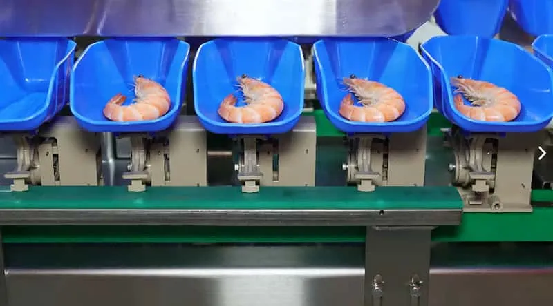 High Precision Box Type Weight Sorter for Food - OYDE