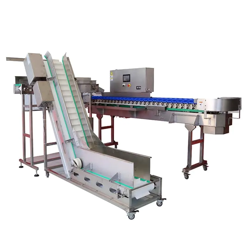 High Precision Box Type Weight Sorter for Food - OYDE